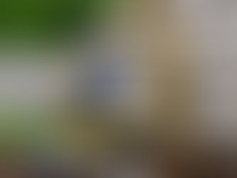 Strategic Placement: Finding the Perfect Spot for Your Backflow Assembly