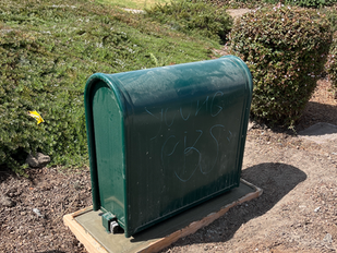 Should You Repair or Replace a Failed Backflow Assembly?