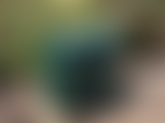 Should You Repair or Replace a Failed Backflow Assembly?