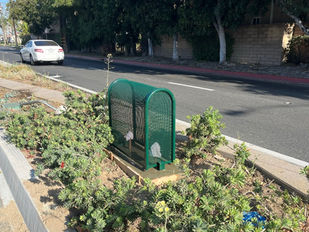 Understanding Penalties for Non-Compliance with Backflow Prevention Laws