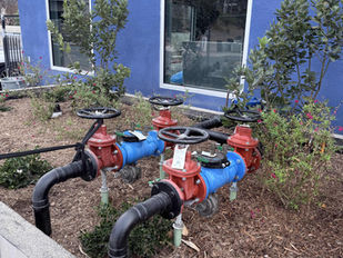 How Far In Advance Do I Need To Schedule My Appointment to Meet A Compliance Deadline?