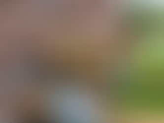 Backflow Prevention: A Homeowner's Guide to Protecting Your Water Supply