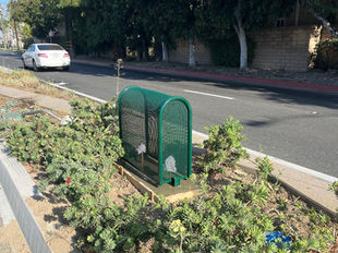 What If I Suspect Contamination in My Backflow Unit?