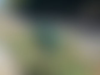 What If I Suspect Contamination in My Backflow Unit?