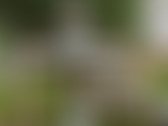 Keeping a Safe Distance: Backflow Preventer Placement and Utility Proximity