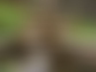 The High Price of Neglect: Consequences of Untested Backflow Preventers and ASSE Standards