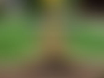 What is a Backflow Prevention Device and Why Is It Important?