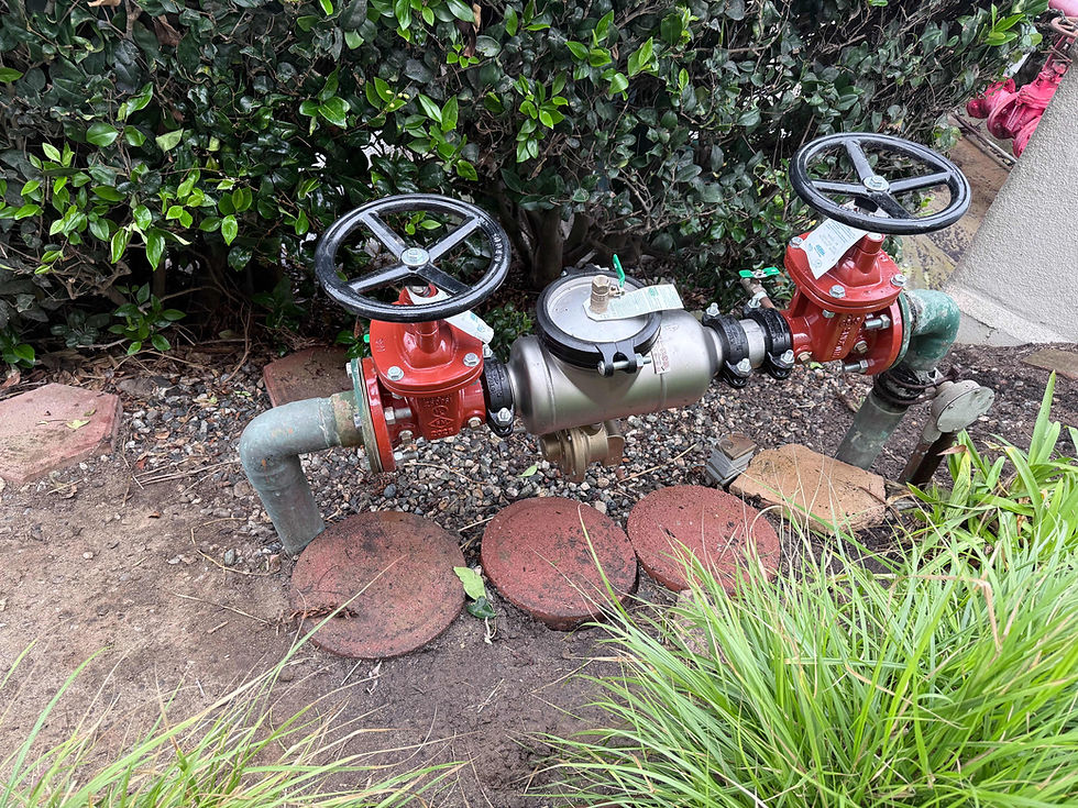 How Often Should a Backflow Device Be Serviced?