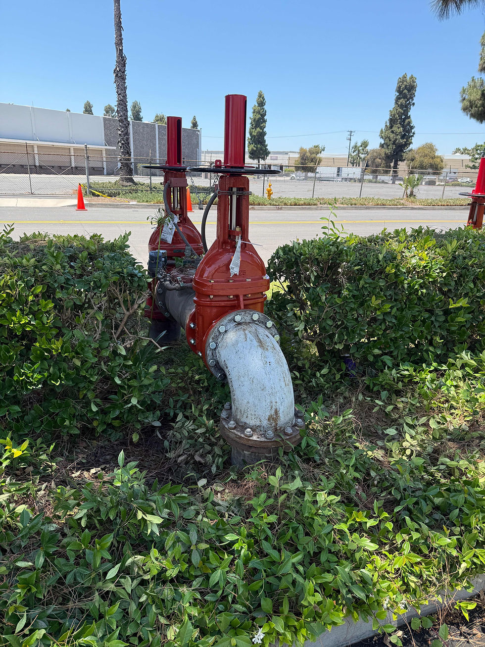 How Annual Backflow Testing Protects Your Drinking Water in Los Angeles
