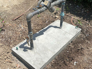 What should I do if my backflow preventer freezes or was submerged during a flood?