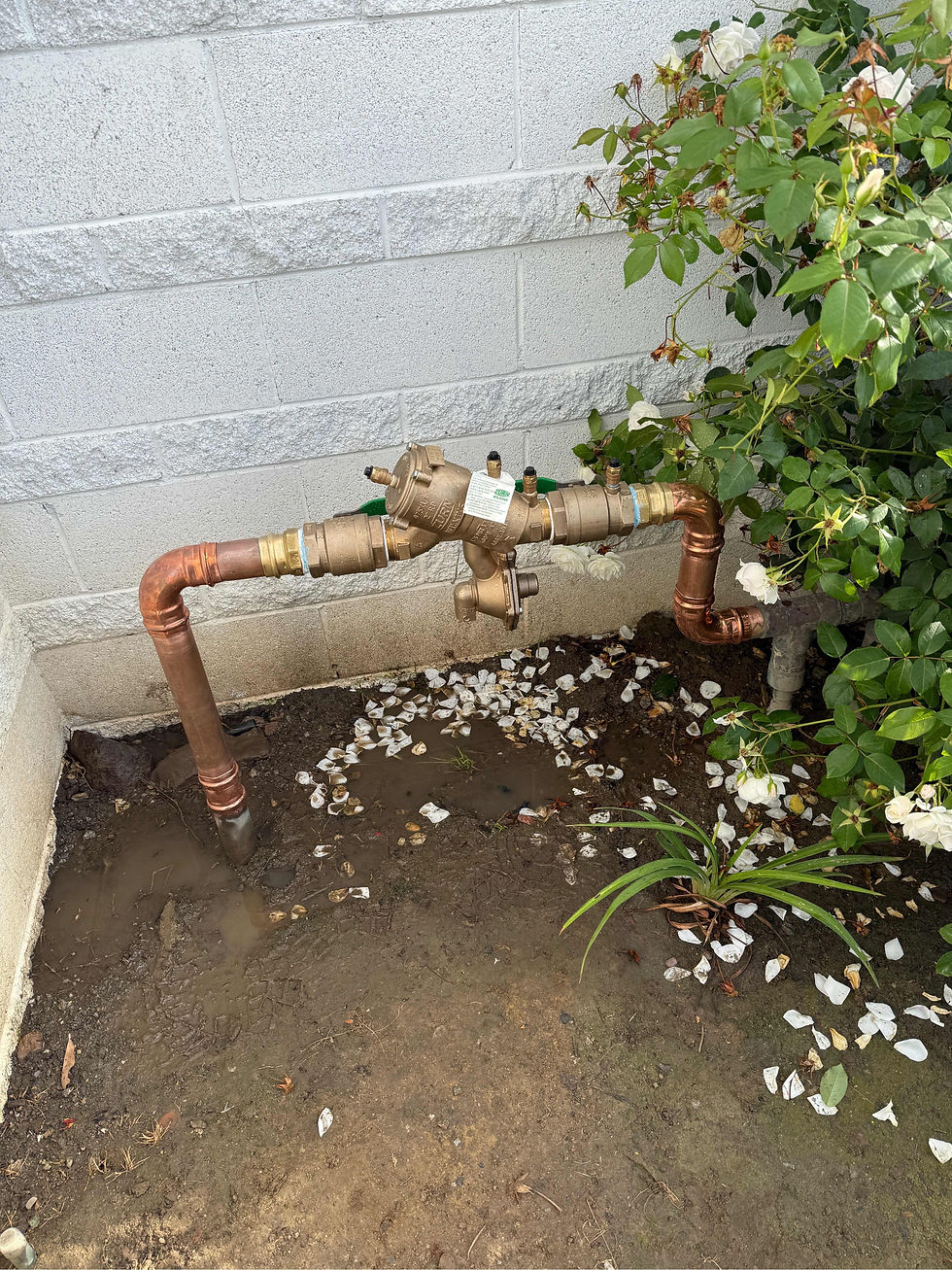 Why Backflow Preventers Fail: The Real-World Causes (and How to Prevent Costly Breakdowns)