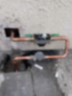 ree