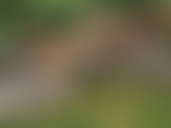 Choosing the Right Backflow Assembly for Your Needs