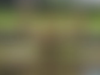 Understanding the Risks of Backflow