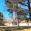Thumbnail: Seaglass Windchime - Healing