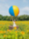 Vibrant sunflower farm experience in Ontario. Capture unforgettable summer memories and LET'S BLOOM TOGETHER at JP NIAGARA SUNFLOWER EXPERIENCE.