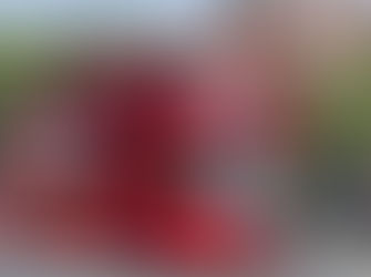 Busgeschichten 6: Terrorverdacht