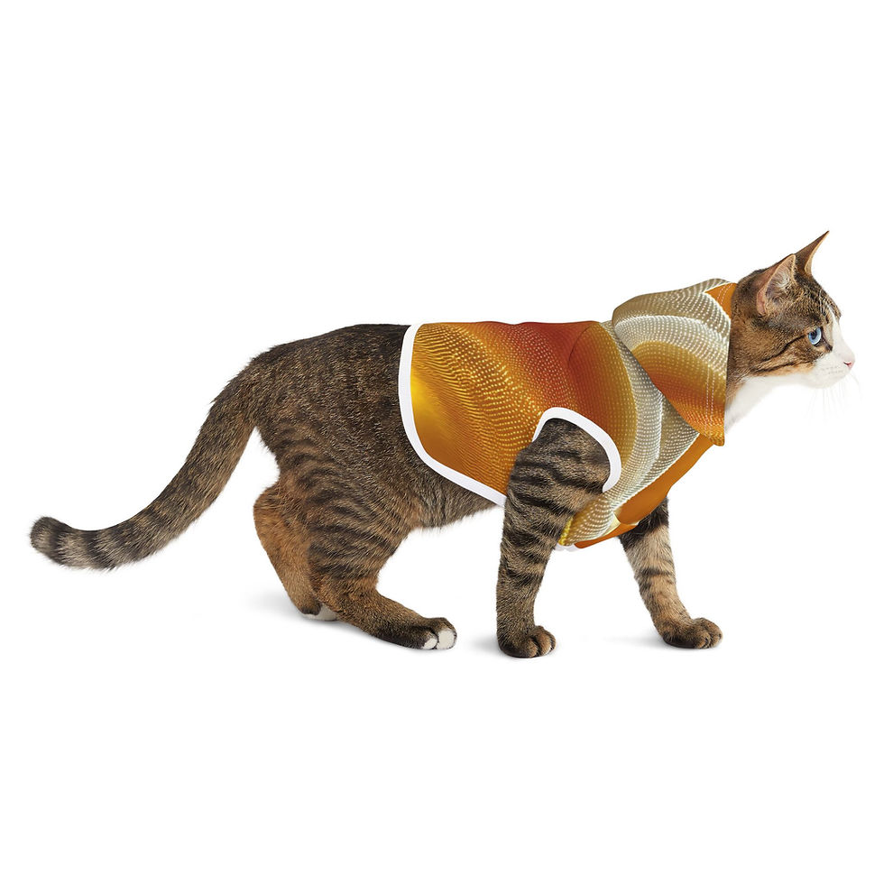Miniature : High Vibrations - Sunwave Pet Hoodie