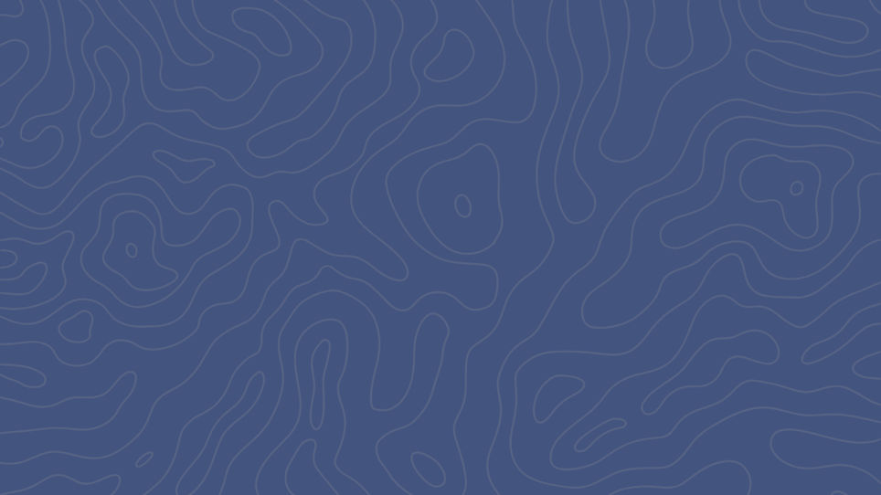 topography background_edited.jpg