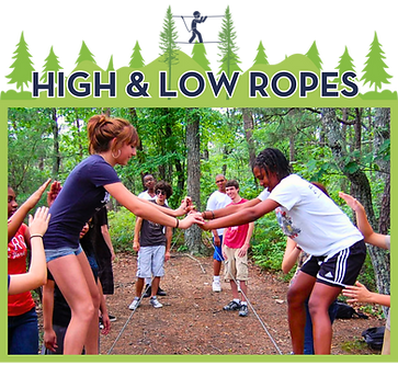 high and low ropes course at wilderness adventure group activity