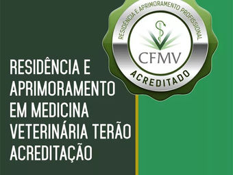 Residência e aprimoramento em medicina veterinária terão acreditação