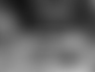 FIT VIII Personal Training in Kronberg Ernährung Protein Teller Essen