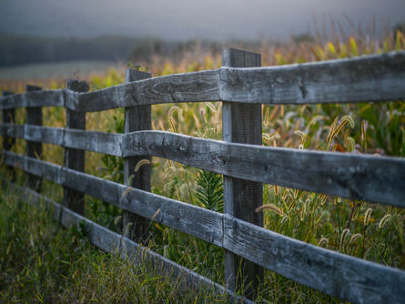 Fences