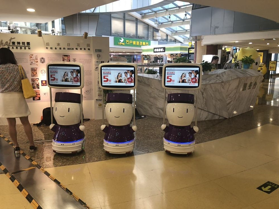 縮圖：Walking Customized Intelligent  G2 Advertising Robot for Hotel and Exhibition