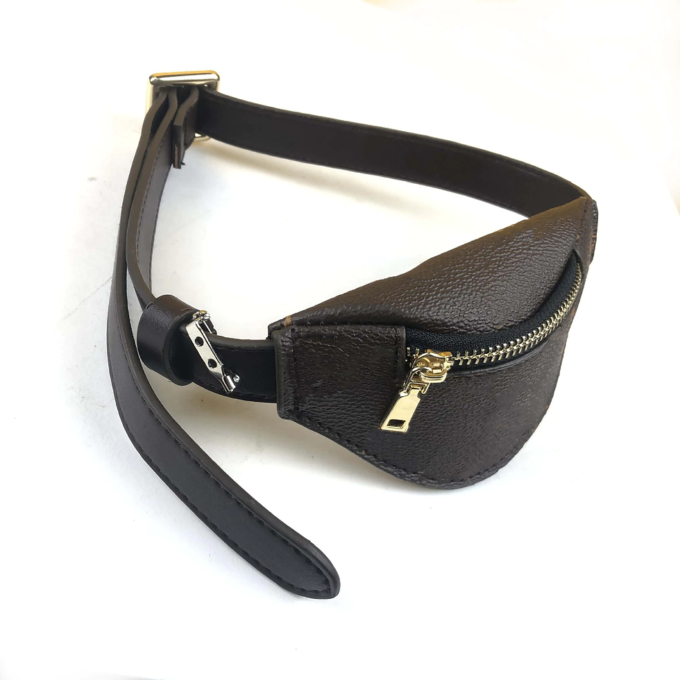 縮圖：Luxury Fashion Puppy Adjustable Backpack Portable Harness Teddy Chihuahua Dog