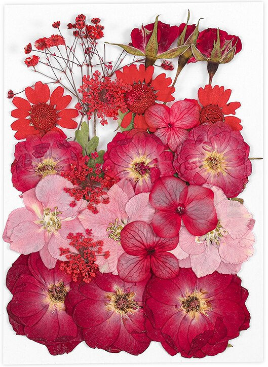 Miniature : Dried Flowers Dry Plants Resin Mold Fillings UV Epoxy Flower for Nail Art 