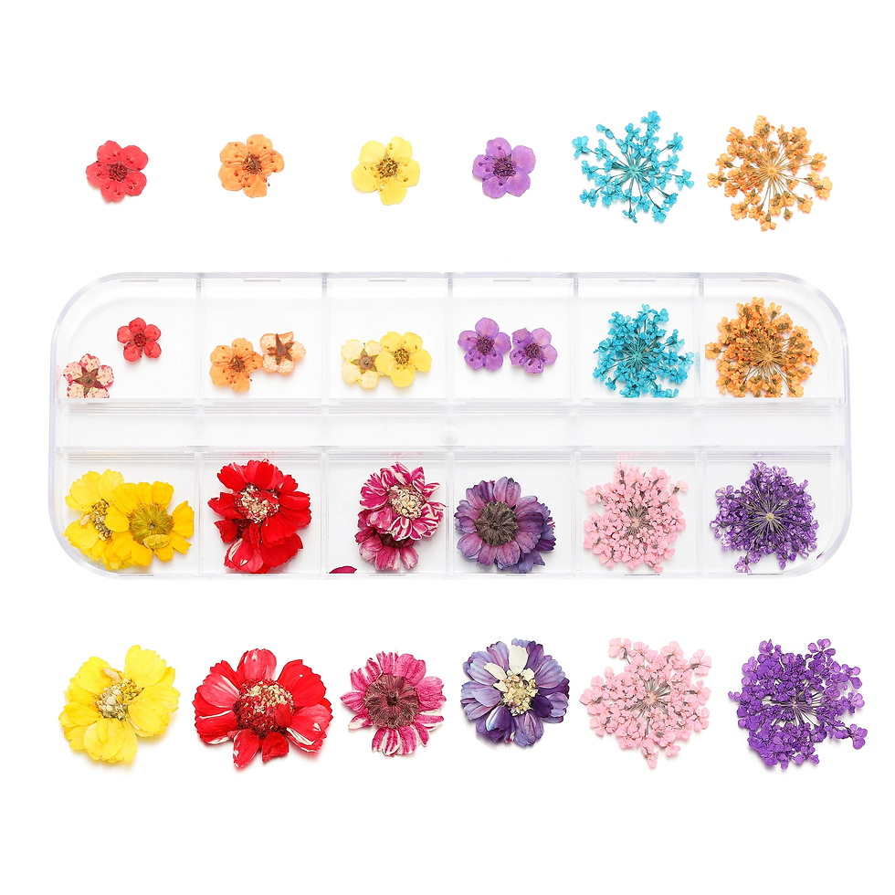Thumbnail: Dried Flowers Dry Plants for Rsein Molds Fillings Epoxy Resin Pendant Tweezers 