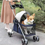 Thumbnail: Luxury Pet Cat Stroller Baby Stroller Newborn Shock Absorption Stroller