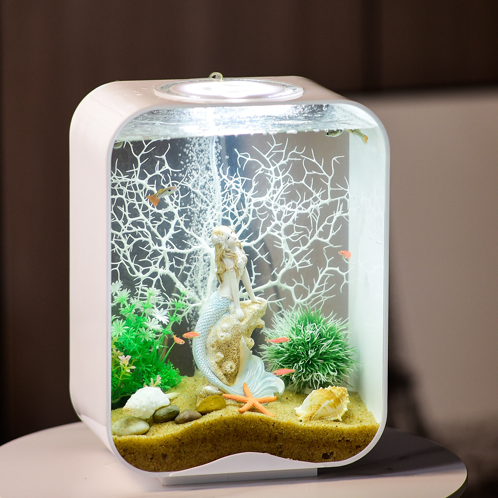 Thumbnail: Aquarium  Landscape Light and Ecological Fish Tank