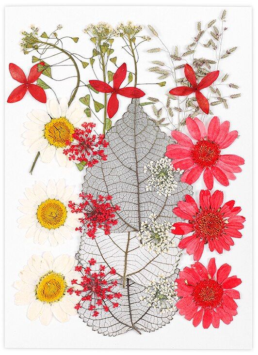 Miniature : Dried Flowers Dry Plants Resin Mold Fillings UV Epoxy Flower for Nail Art 