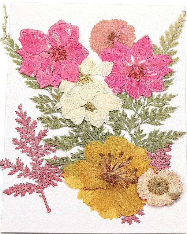 Miniature : Dried Flowers Dry Plants Resin Mold Fillings UV Epoxy Flower for Nail Art 