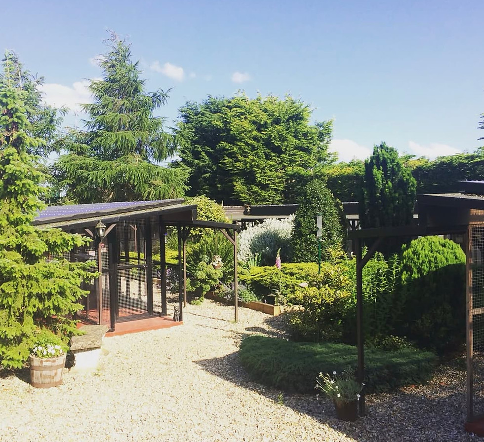 The Garden Mews Cattery