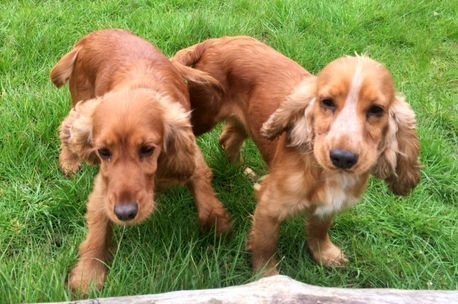 Image 10-03-2022 at 13.31.jpg