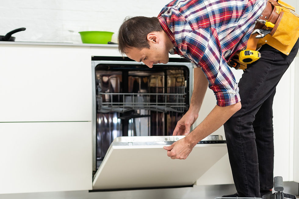 Dishwasher repair