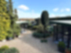 Cattery in a quiet countryside setting