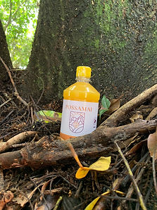 WhatsApp Image 2023-10-27 at 15.44.35 (1).jpeg