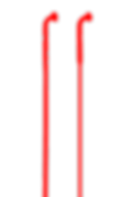 PHO_SCO0++++++++++_WEB_SHO_001.png