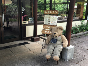 ごはんcafe やませみ