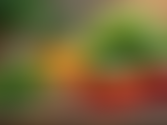 Cibo di Alta Vibrazione: Come Certificare Qualità