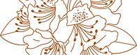 vladivostok flower