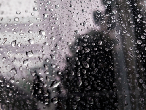 Rainy Mornings