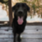 064Ozzie01