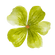 Groen bloemenicoon.