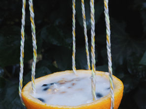 Vogelfutter in Orangenhälften