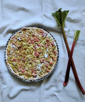 Rhabarber Rezepte