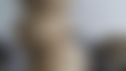 Saaten- Quarkbrötchen